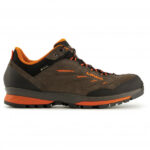 Lowa - Delago GTX LO - Wanderschuhe Gr 10