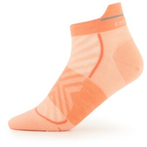 Icebreaker - Women's Merino Run+ Ultralight Micro - Laufsocken Gr L beige