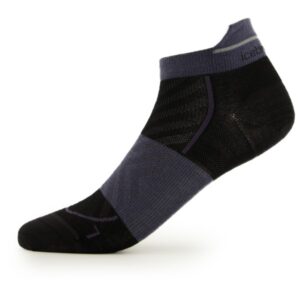 Icebreaker - Women's Merino Run+ Ultralight Micro - Laufsocken Gr L;S beige;gelb;schwarz