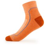 Icebreaker - Hike+ Light Mini - Wandersocken Gr M orange