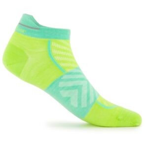 Icebreaker - Merino Run+ Ultralight Micro - Laufsocken Gr XL grün