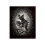 Alchemy Aufkleber Paracelsus Black Cat