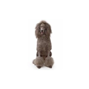 Hunde Aufkleber Motiv Standard Poodle/großer Pudel