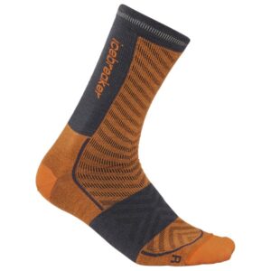 Icebreaker - Merino Run+ Ultralight Crew - Laufsocken Gr S braun