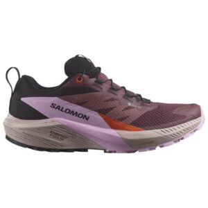 Salomon - Women's Sense Ride 5 GTX - Trailrunningschuhe Gr 9 bunt